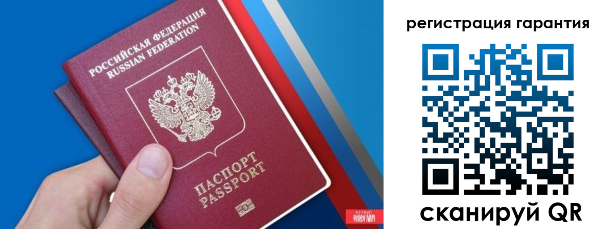 прописка для школы в Струнино